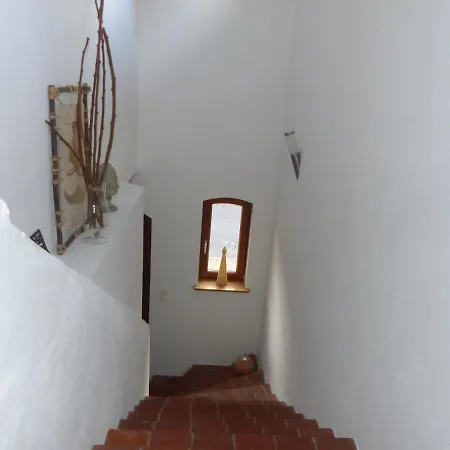 Casa 7 شقة *